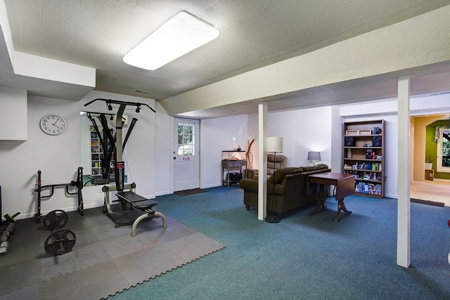 14 Rivendell Dr, Hayesville, NC 28904 - exercise area featuring baseboards, a textured ceiling, and carpet