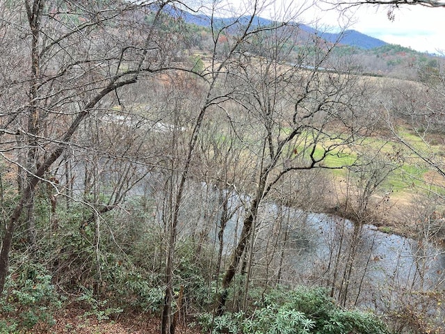 14 Rivendell Dr, Hayesville, NC 28904 - water view with a mountain backdrop and a forest