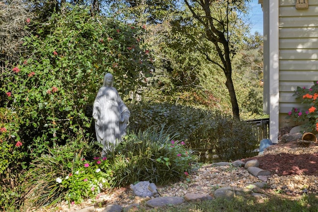 14 Rivendell Dr, Hayesville, NC 28904 - view of yard