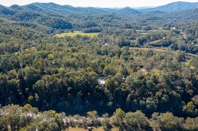 drone / aerial view featuring a mountain view