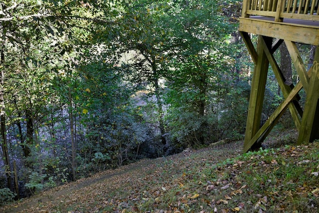 14 Rivendell Dr, Hayesville, NC 28904 - view of woods