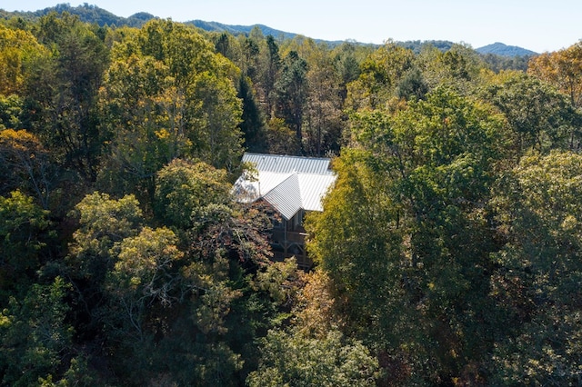 14 Rivendell Dr, Hayesville, NC 28904 - view of subject property featuring a forest