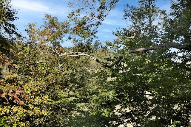 14 Rivendell Dr, Hayesville, NC 28904 - view of woods