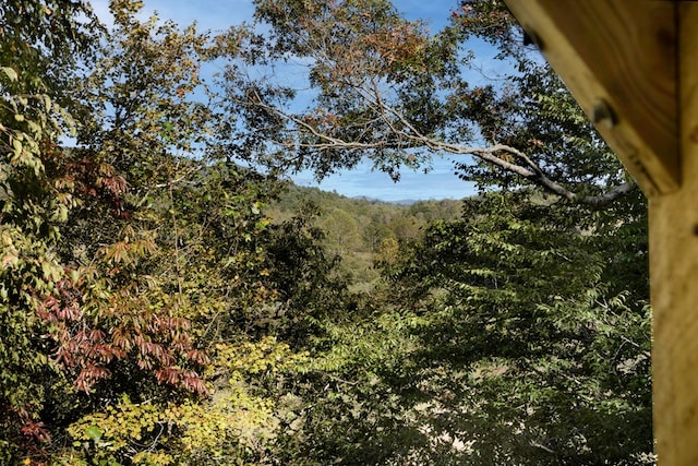 14 Rivendell Dr, Hayesville, NC 28904 - view of wooded area