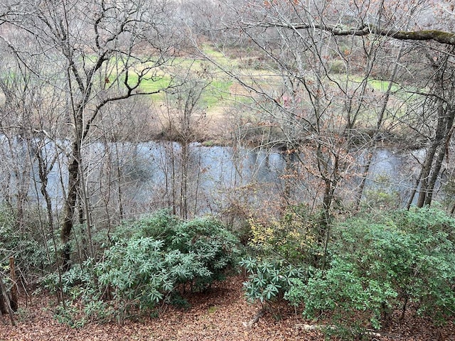 14 Rivendell Dr, Hayesville, NC 28904 - water view featuring a heavily wooded area