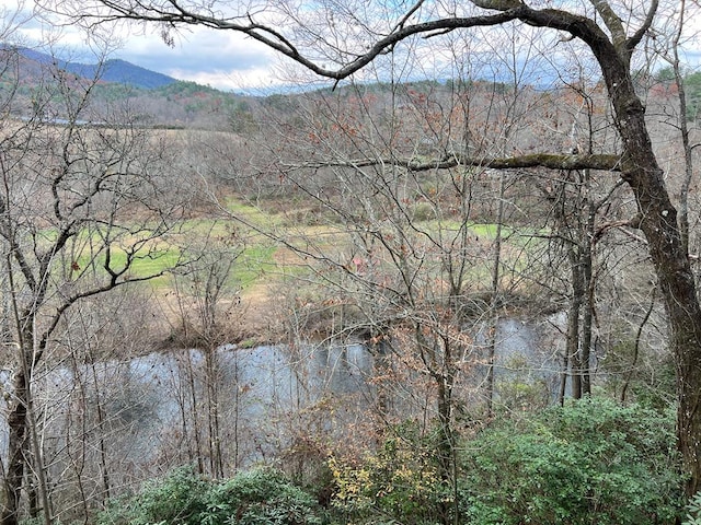 14 Rivendell Dr, Hayesville, NC 28904 - water view with a heavily wooded area and a mountainous background