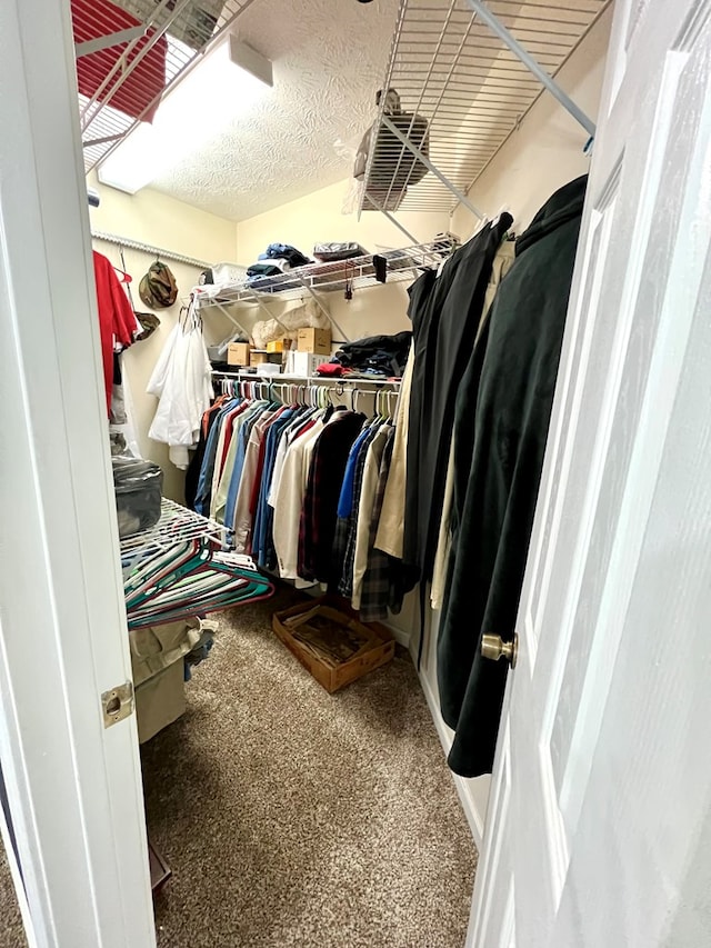 75 Briar Patch Dr, Covington, GA 30014 - view of walk in closet