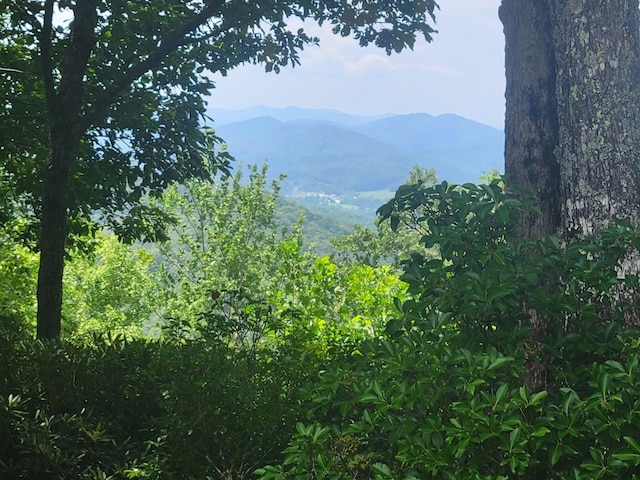 LOT24 Double Knob Dr E, Hayesville NC, 28904 land for sale