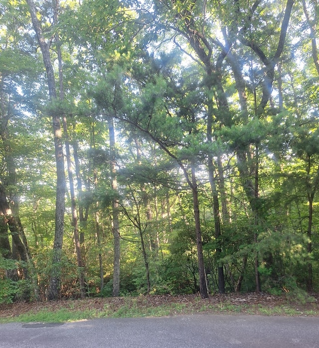 Listing photo 2 for LOT9 Cook Mtn, Blairsville GA 30512