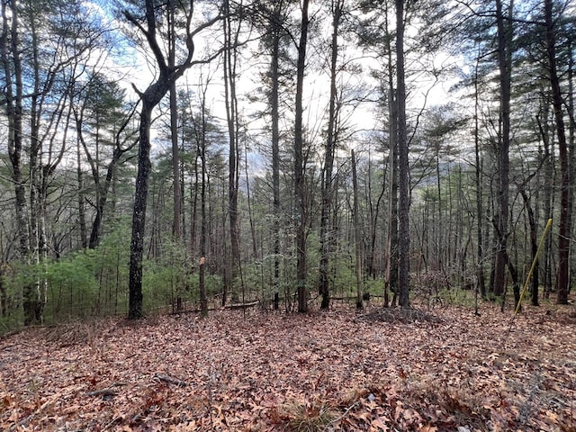 Listing photo 3 for 7.72AC Stanley Creek Rd, Cherry Log GA 30522