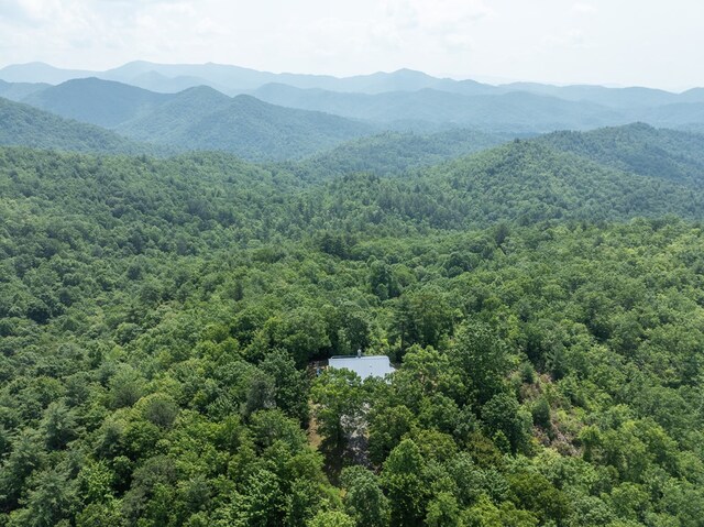 330 Ravens Gap Rd, Murphy, NC 28906 - view of mountain backdrop featuring a heavily wooded area