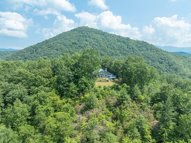 330 Ravens Gap Rd, Murphy, NC 28906 - view of mountain backdrop featuring a heavily wooded area