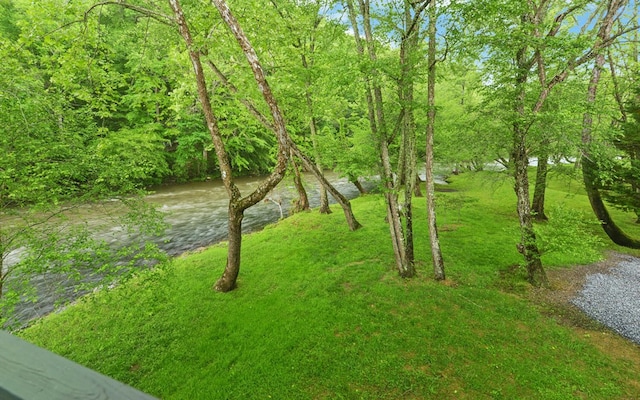view of green lawn