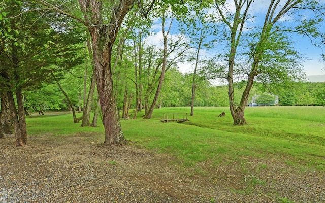 view of grassy yard