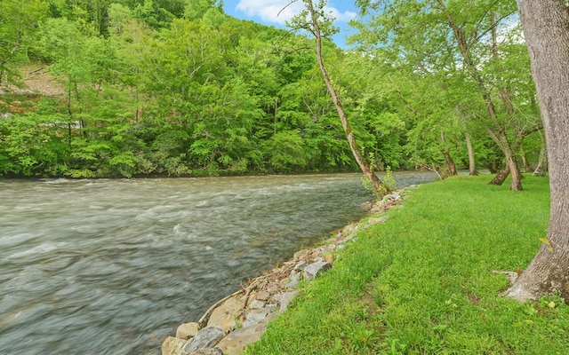water view with a forest