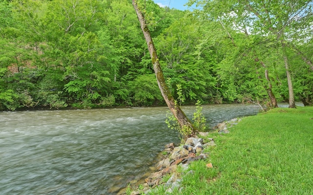 water view with a heavily wooded area