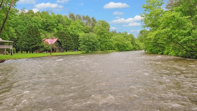 water view featuring a heavily wooded area