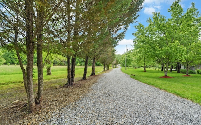surrounding community with a lawn and driveway