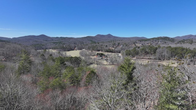 property view of mountains