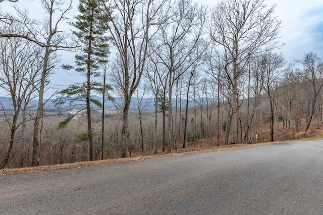 Listing photo 2 for LOT133 Blackburn Way, Blairsville GA 30512