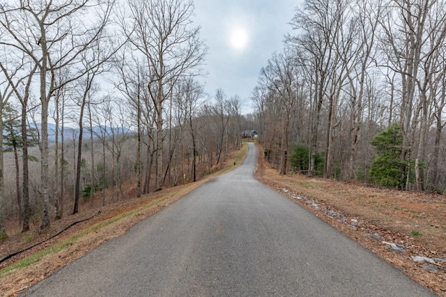 Listing photo 3 for LOT133 Blackburn Way, Blairsville GA 30512