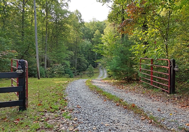 view of road