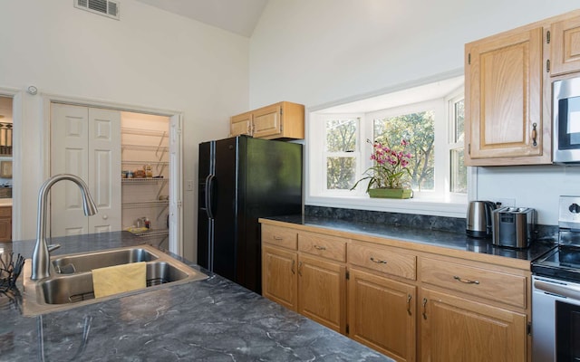 kitchen featuring sink, lofted ceiling, and stainless steel appliances