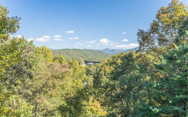 view of mountain feature