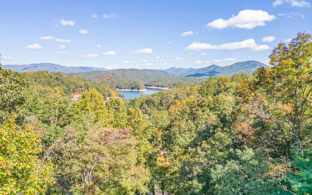 property view of mountains featuring a water view