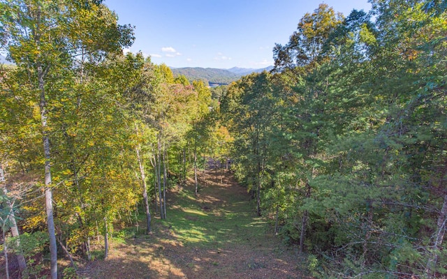 view of nature with a mountain view