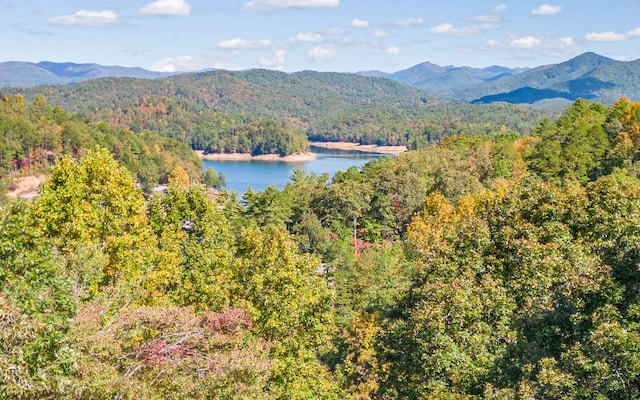 mountain view with a water view