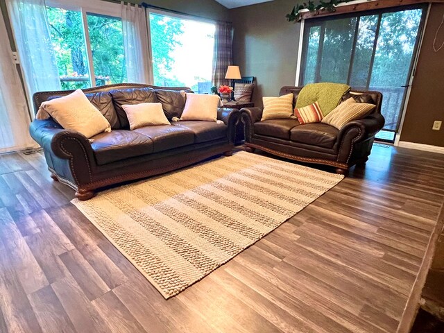 living room featuring hardwood / wood-style floors