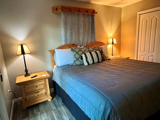 bedroom with a closet and hardwood / wood-style floors