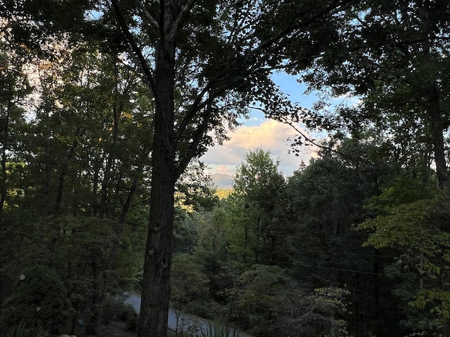 view of nature at dusk