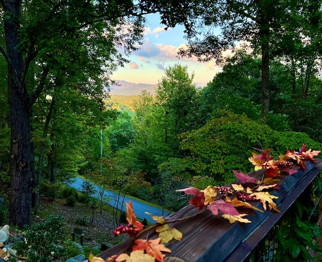 exterior space with a mountain view