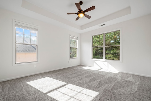 238 Balsam Dr, Canton, GA 30114 - spare room with a raised ceiling, carpet floors, and a ceiling fan