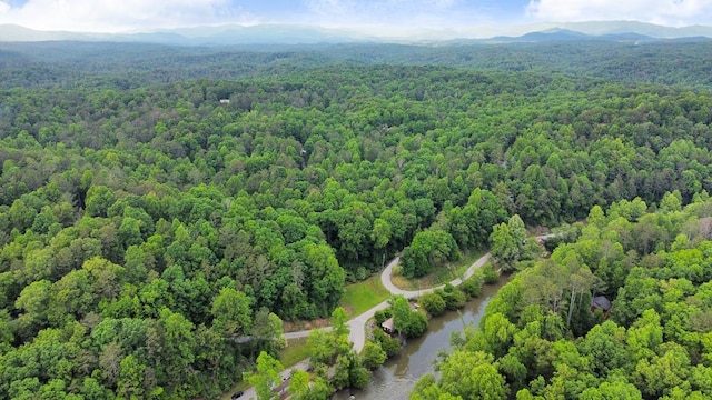 Address Not Disclosed, Ellijay GA, 30540 land for sale