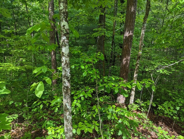 LOTS1 Highland Rd, Murphy, NC 28906