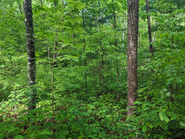 LOTS1 Highland Rd, Murphy, NC 28906