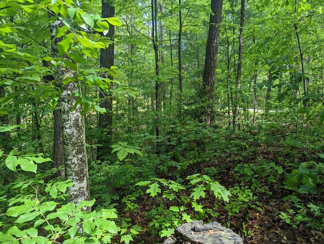 LOTS1 Highland Rd, Murphy, NC 28906
