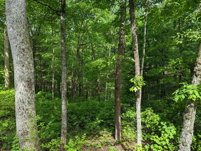 LOTS1 Highland Rd, Murphy, NC 28906