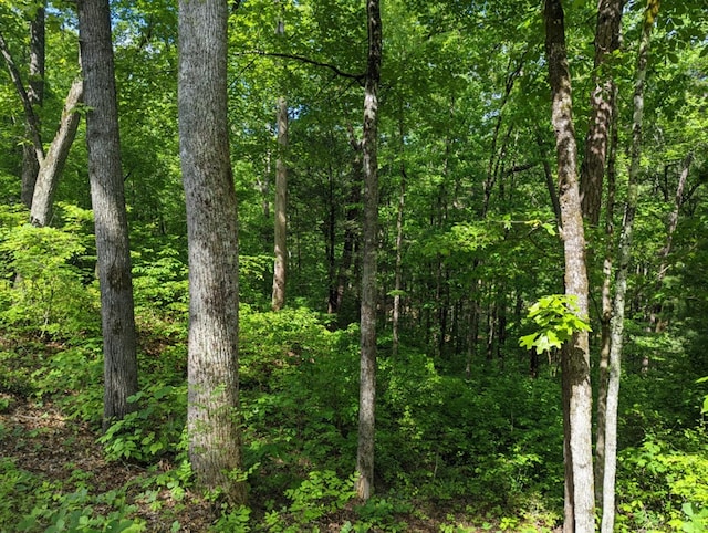 LOTS1 Highland Rd, Murphy, NC 28906