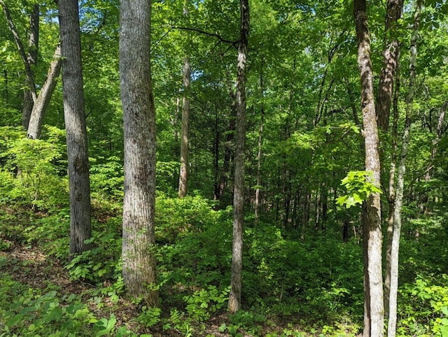 LOTS1 Highland Rd, Murphy, NC 28906