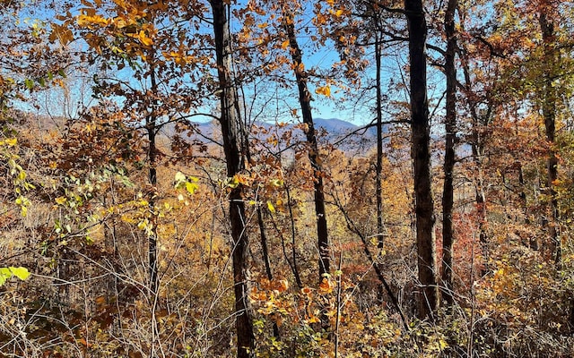 54C Indian Trl, Hayesville, NC 28904