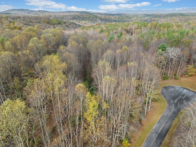 Listing photo 3 for LOT14 Highpoint Ridge Ct, Ellijay GA 30536