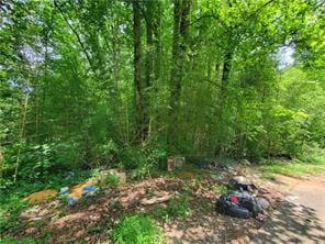 653 Pioneer Rd, Jasper, GA 30143 - view of undeveloped land