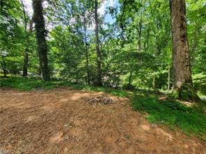 653 Pioneer Rd, Jasper, GA 30143 - view of undeveloped land