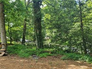 653 Pioneer Rd, Jasper, GA 30143 - view of local wilderness