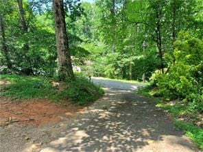653 Pioneer Rd, Jasper, GA 30143 - view of street with a view of trees