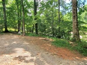 653 Pioneer Rd, Jasper, GA 30143 - view of nature
